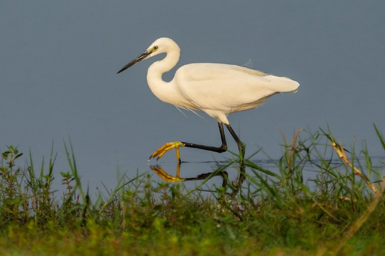 137 Nagarhole NP.jpg